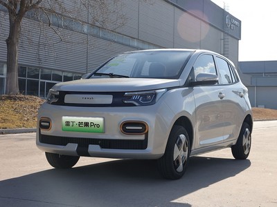 雷丁芒果Pro新款价格2025款多少钱？购车必看