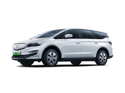 枫叶80v L新车报价2024款大起底，买车超详细！