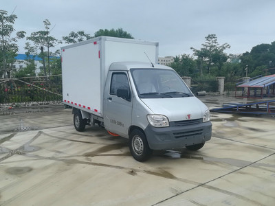 延龙纯电动物流车 2020新款价格，买车省钱秘籍