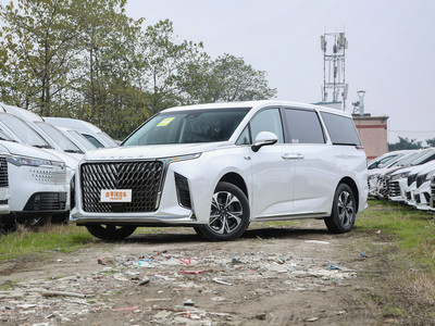 G90新车报价2025款，各配置车型售价全解析