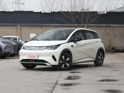 淮豚 2025新款价格，买车前的全方位指南