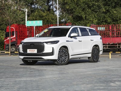 瑞虎9 C-DM 2025新款价格，买车前的全方位指南