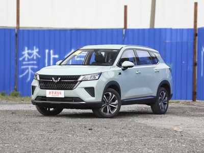 五菱星辰价格，性价比之选，购车无忧