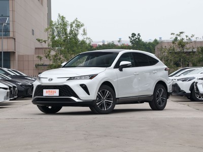 威飒新款价格2024款多少钱？如何挑选性价比高的车