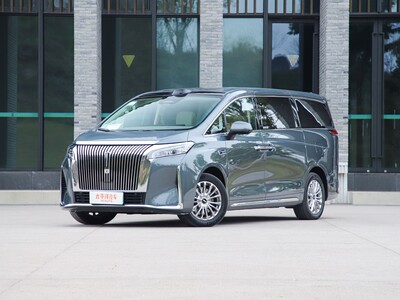 高山DHT-PHEV 2025新款价格，买车省钱秘籍